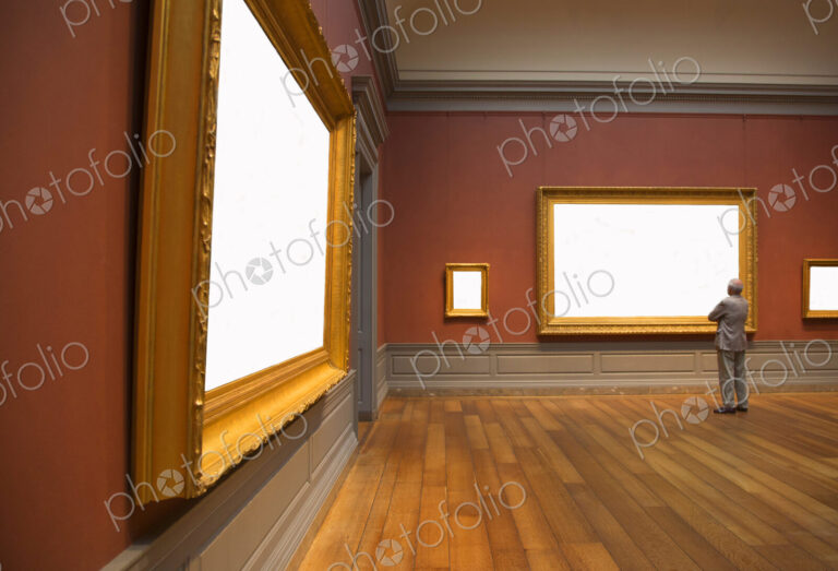 Rear view of man standing in art gallery, looking at empty gilded frame.