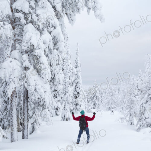 Rear view of man standing in forest with snow-covered trees. Rear view of man standing in forest with snow-covered trees.