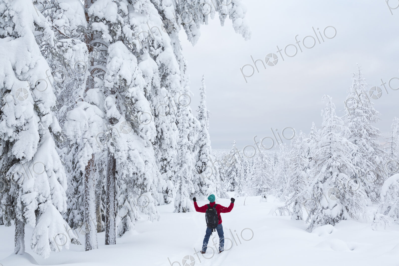 Rear view of man standing in forest with snow-covered trees.