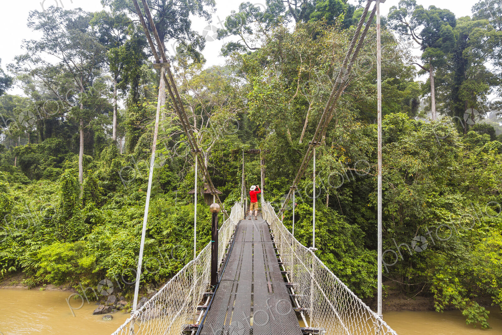 Rear view of man walking along rope tree over river in tropical rain forest.