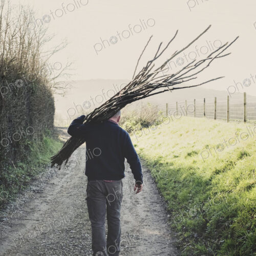 Rear view of man walking down rural path, carrying bunch of wooden pleachers used in… Rear view of man walking down rural path, carrying bunch of wooden pleachers used in…