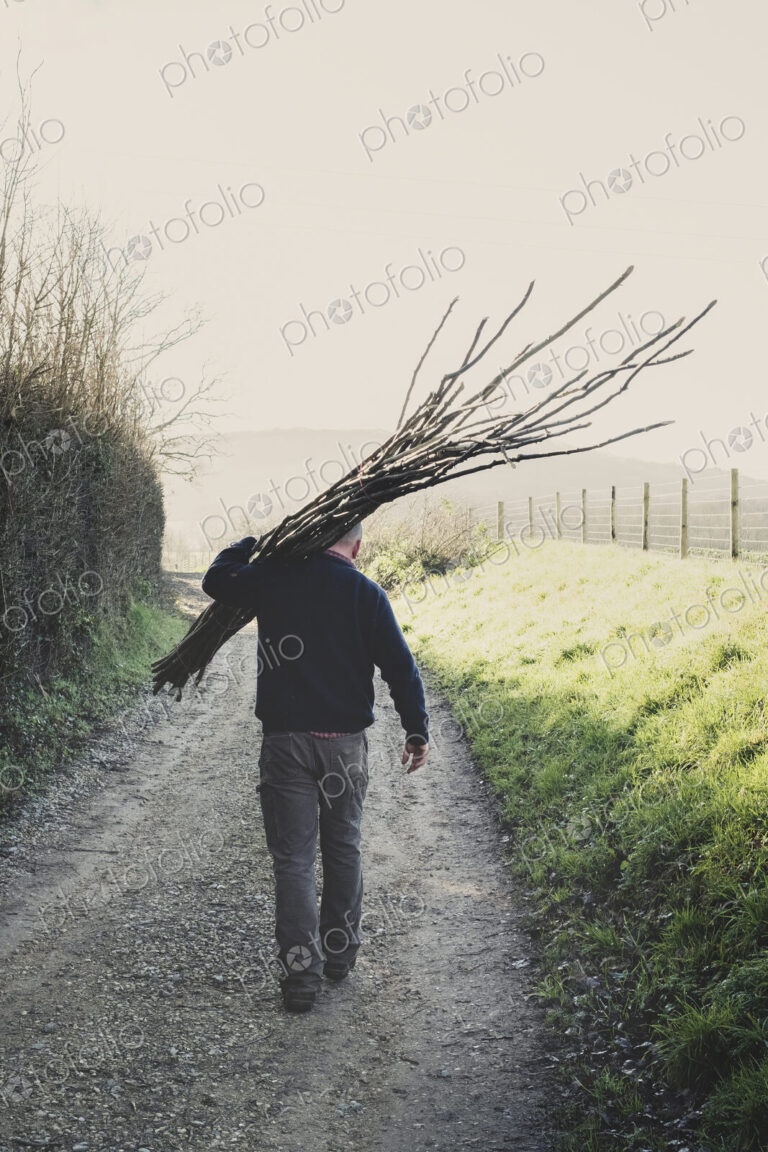 Rear view of man walking down rural path, carrying bunch of wooden pleachers used in…