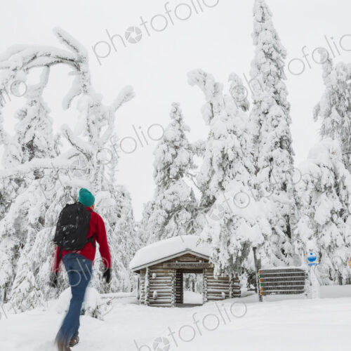 Rear view of man walking towards log cabin in forest with snow-covered trees. Rear view of man walking towards log cabin in forest with snow-covered trees.