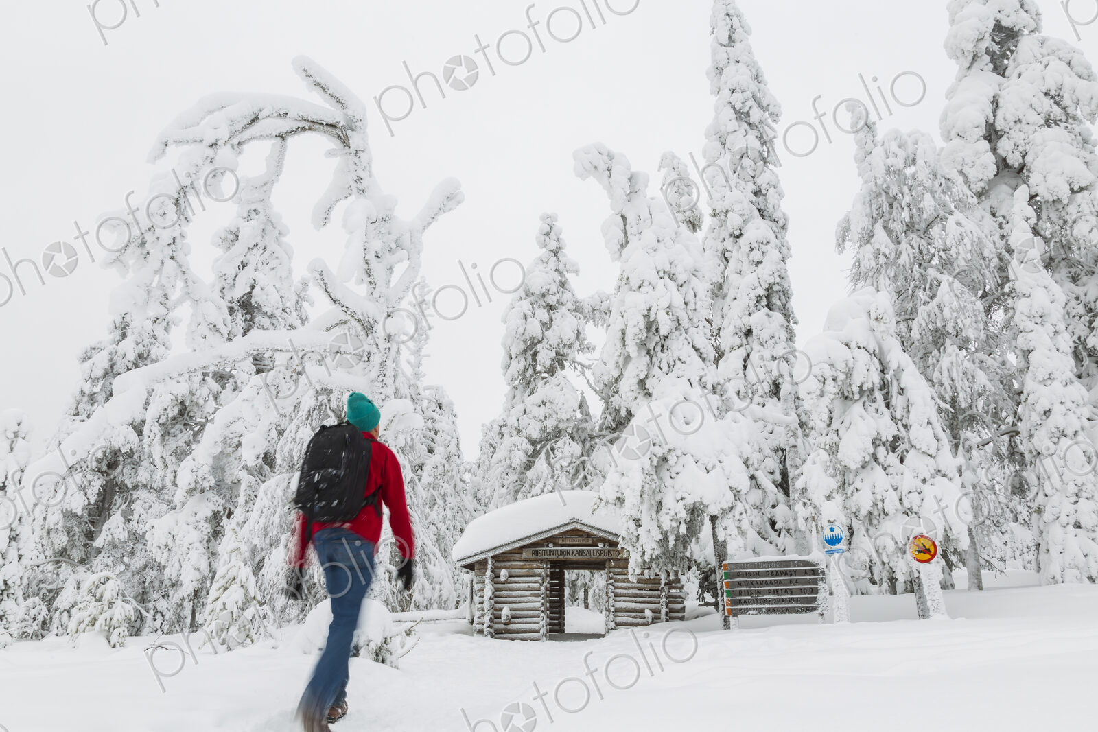 Rear view of man walking towards log cabin in forest with snow-covered trees.