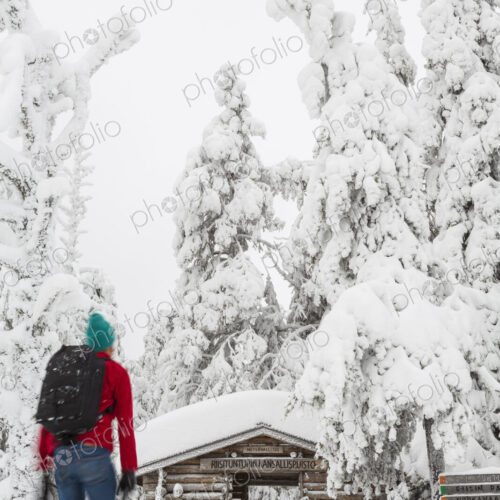 Rear view of man walking towards log cabin in forest with snow-covered trees. Rear view of man walking towards log cabin in forest with snow-covered trees.