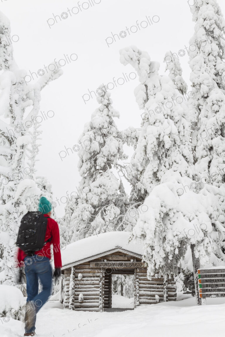 Rear view of man walking towards log cabin in forest with snow-covered trees.