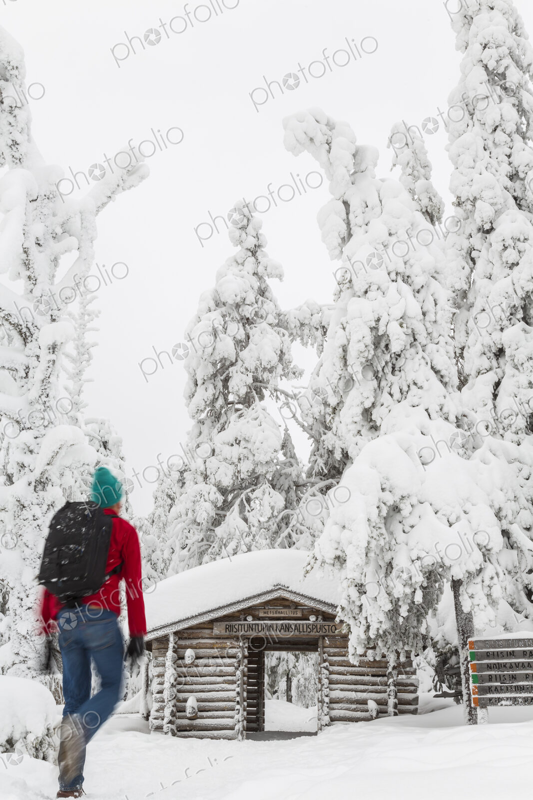 Rear view of man walking towards log cabin in forest with snow-covered trees.