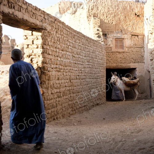Rear view of man wearing caftan walking through wall doorway, donkey in background. Rear view of man wearing caftan walking through wall doorway, donkey in background.