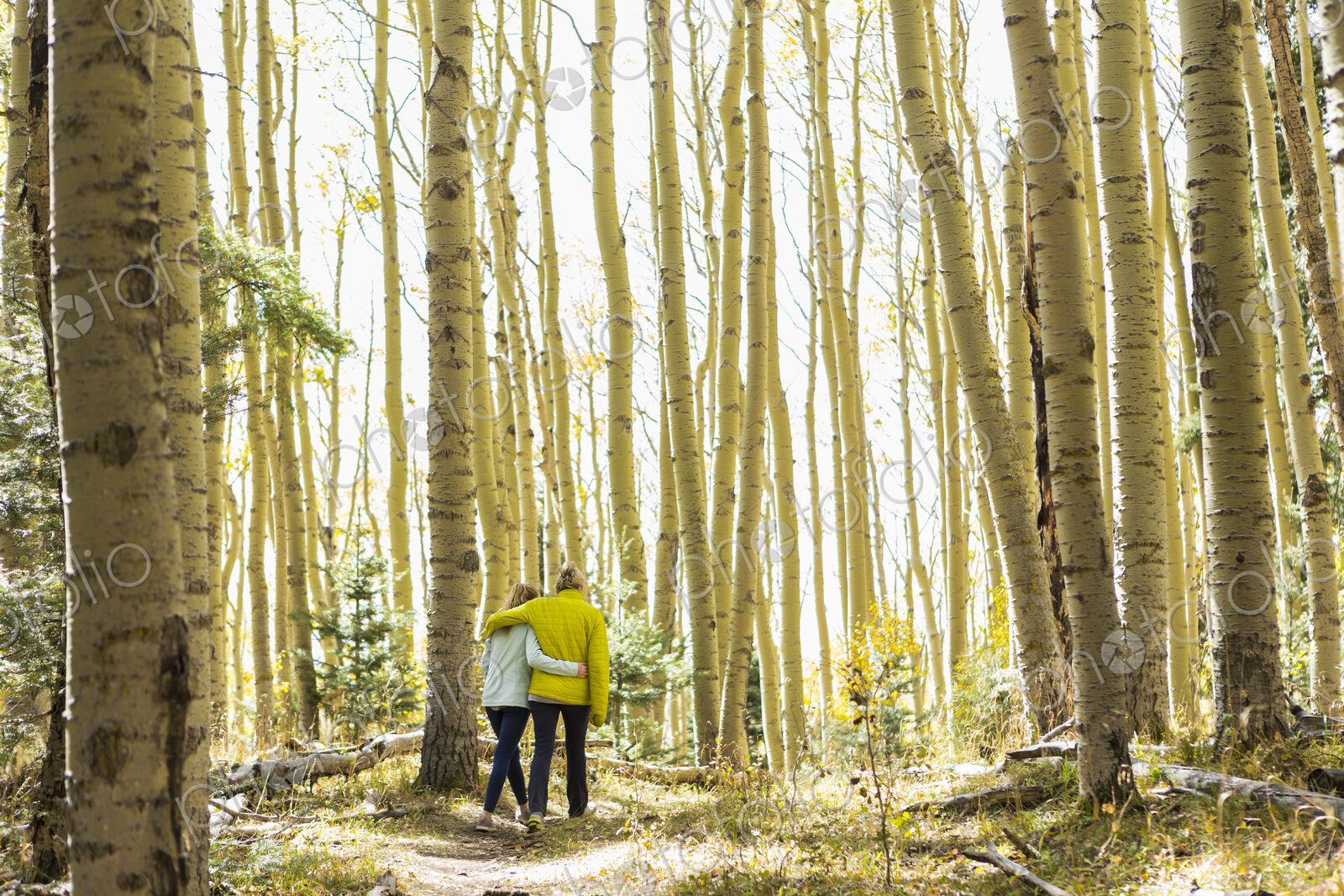 Rear view of mother and her teen age daughter hiking in the autumn aspens