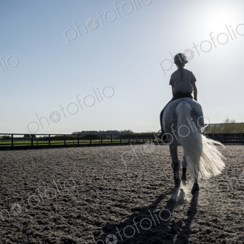 Rear view of teenage girl riding a grey horse in a paddock.