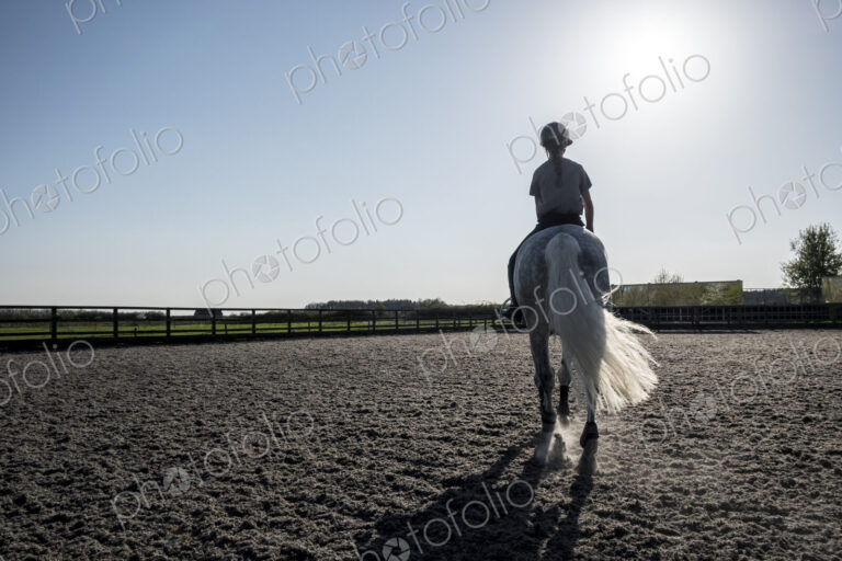 Rear view of teenage girl riding a grey horse in a paddock.