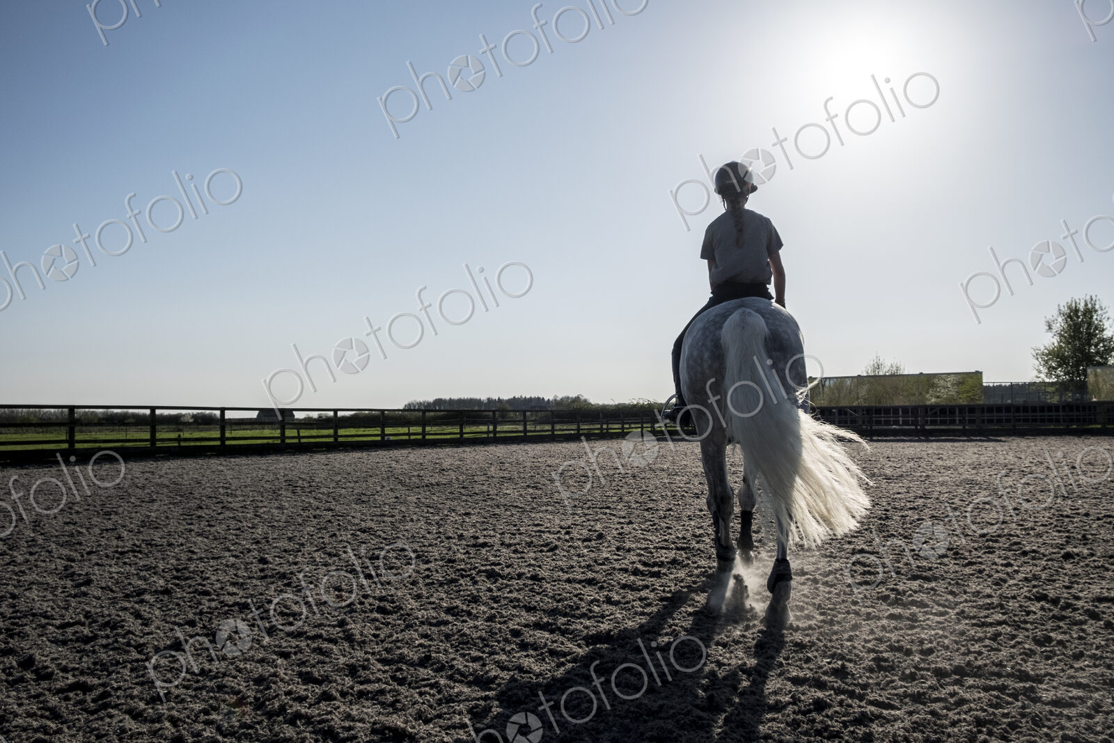 Rear view of teenage girl riding a grey horse in a paddock.
