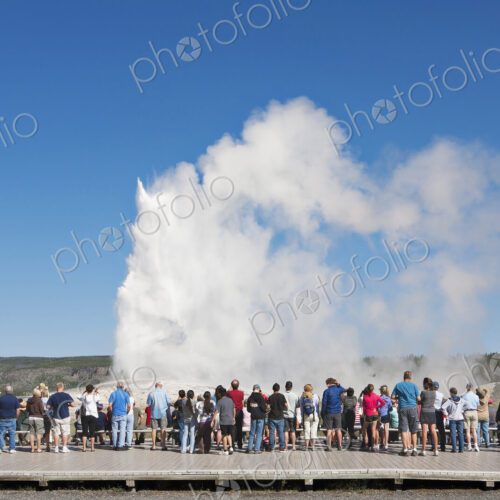 Rear view of tourists looking at geyser in Yellowstone Park. Rear view of tourists looking at geyser in Yellowstone Park.