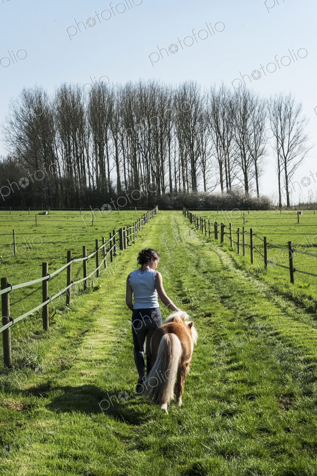Rear view of woman leading a small brown shetland brown pony down a paddock along a fence.