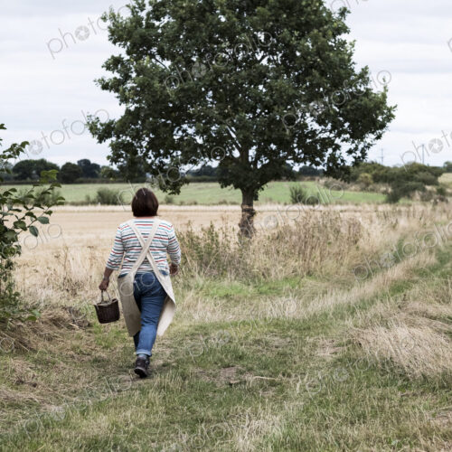 Rear view of woman walking along rural path, carrying brown wicker basket. Rear view of woman walking along rural path, carrying brown wicker basket.
