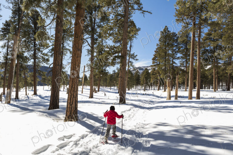 Rear view of young boy in a red jacket snow shoeing on a trail through trees.