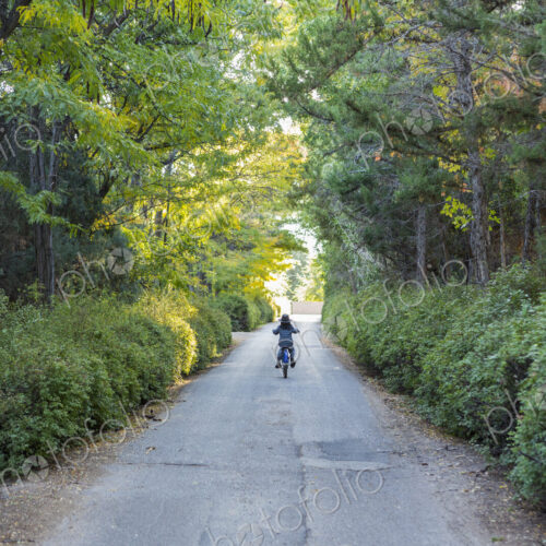 Rear view of young boy riding his bike down country road Rear view of young boy riding his bike down country road