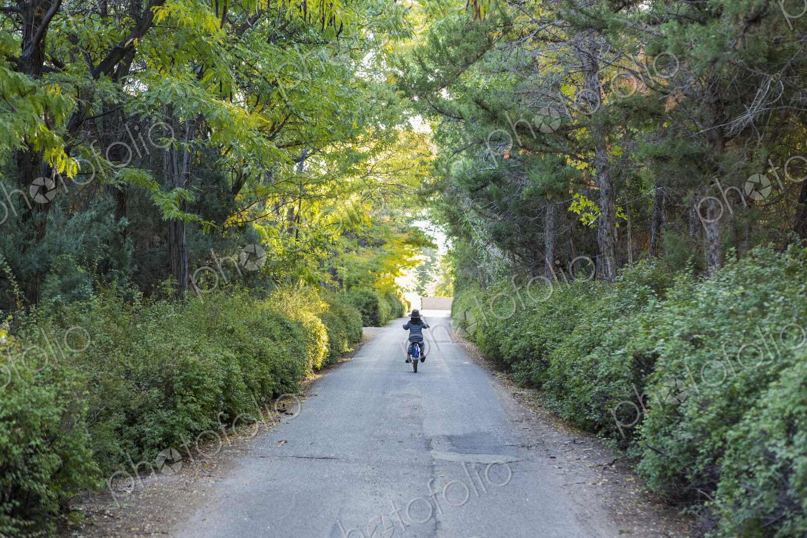 Rear view of young boy riding his bike down country road