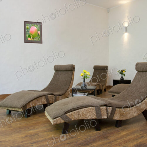 Recliner Chairs Recliner Chairs