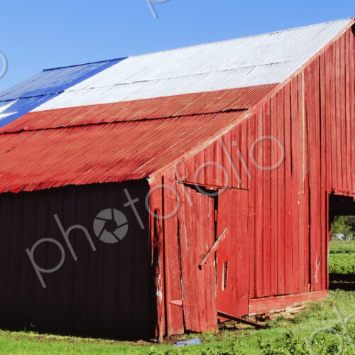 Red Barn in Field With Texas Flag on Roof Red Barn in Field With Texas Flag on Roof