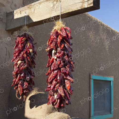 Red Chili Peppers Hanging Outdoors