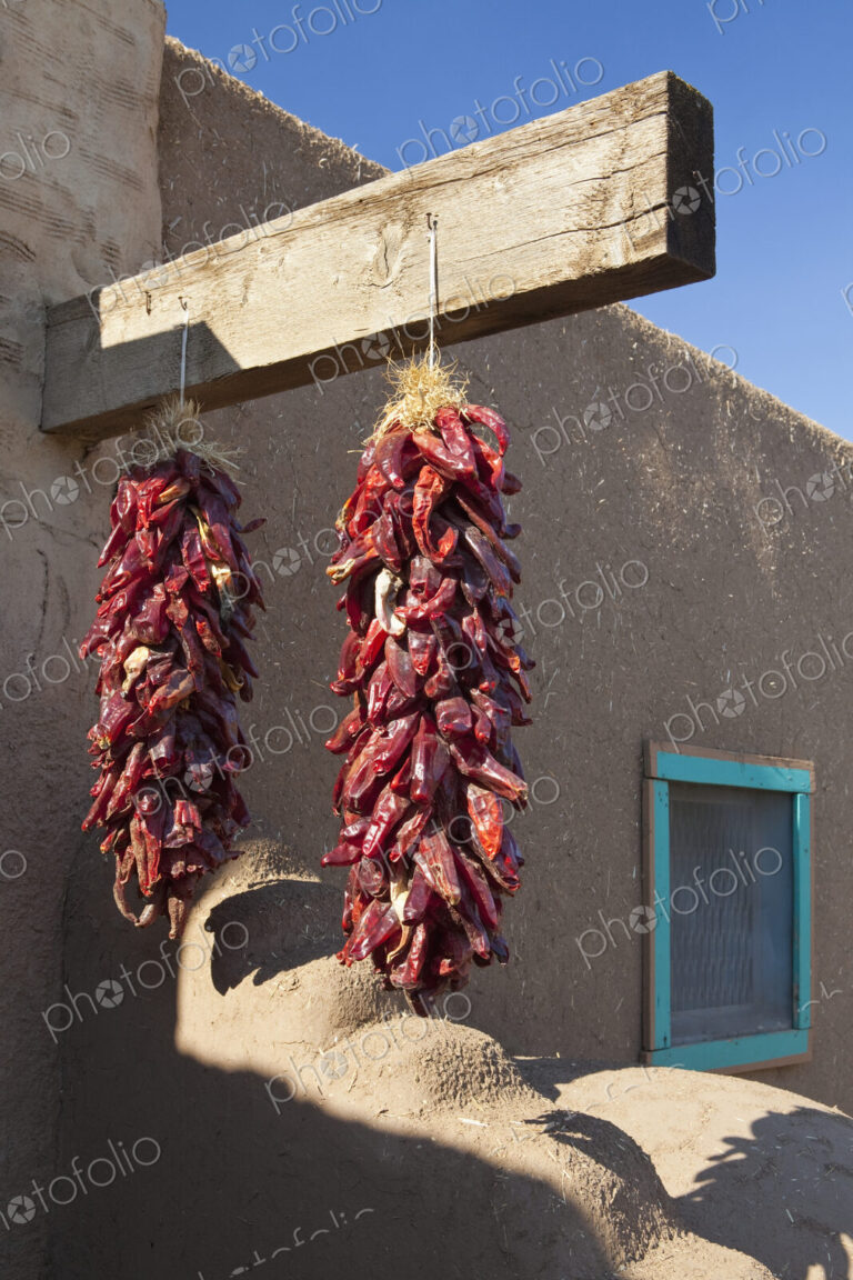 Red Chili Peppers Hanging Outdoors