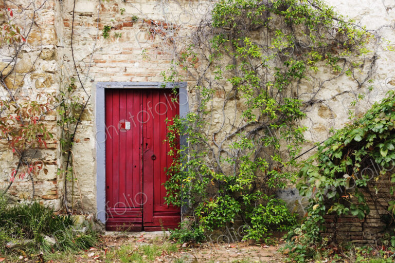 Red Door in Old Brick and Stone Cottage