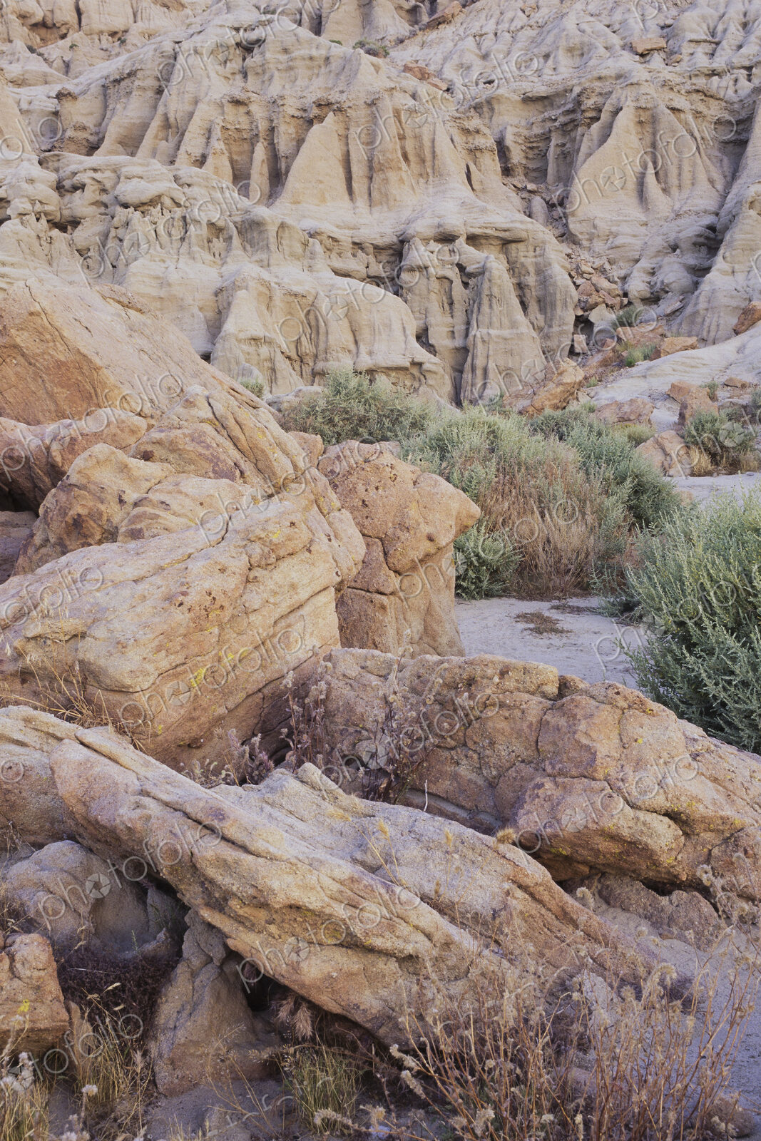 Red Rocks Canyon Conservation Area, view from a height over the landscape and the canyon.