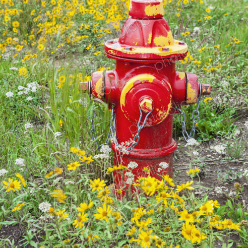 Red fire hydrant in field of flowers