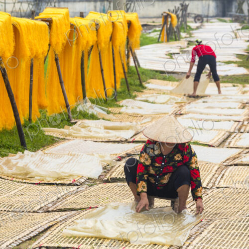 Rice noodle production, women spreading noodles on mats on the floor to dry