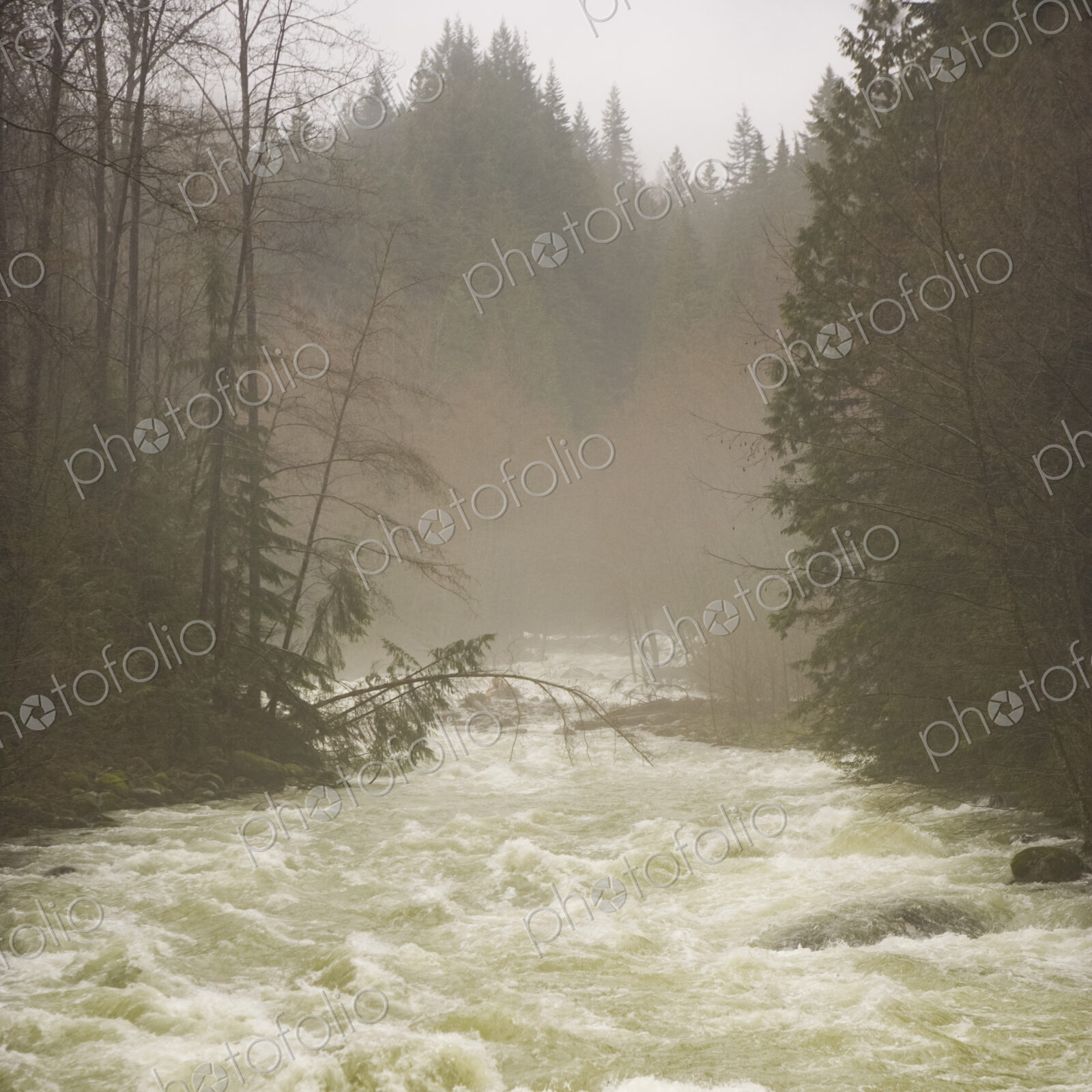 River at flood stage, Lyn Canyon, North Vancouver, BC Canada