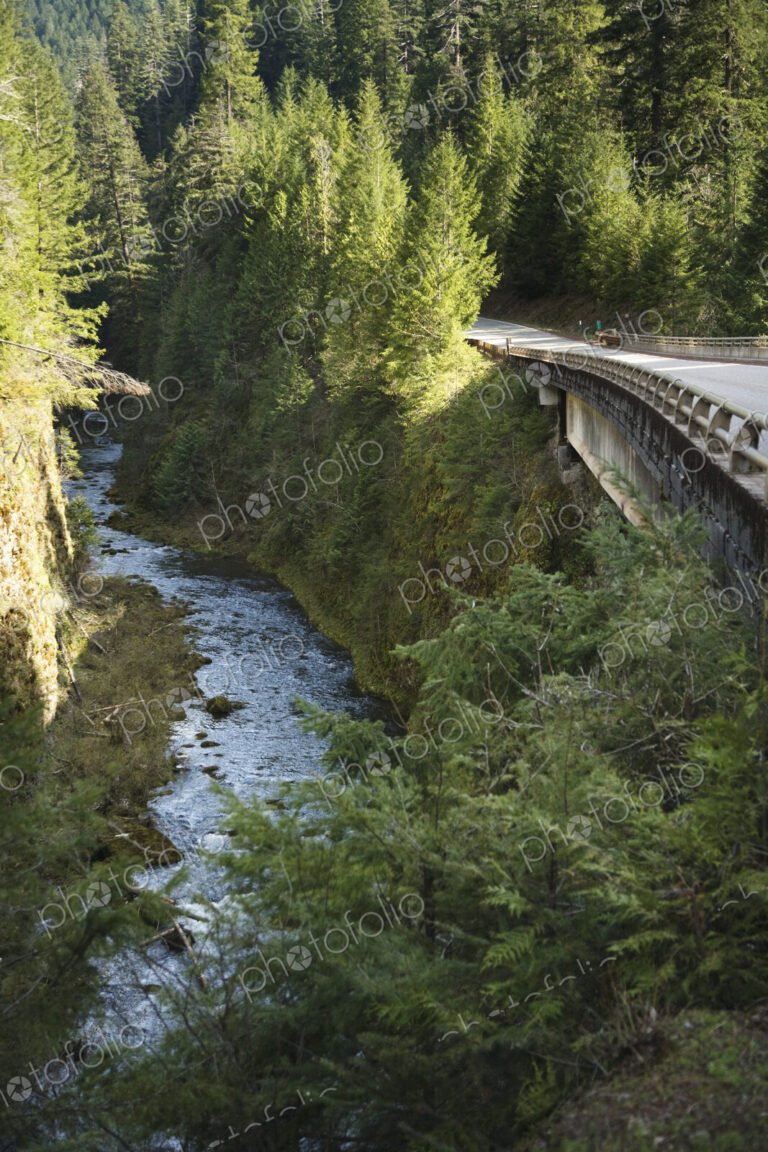 River in Gorge Next to Highway
