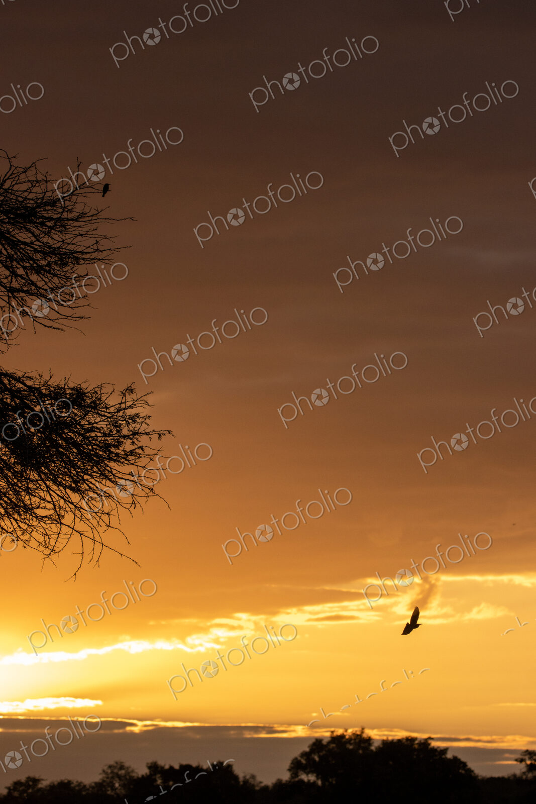 River sunset, landscape with golden sunset glow.