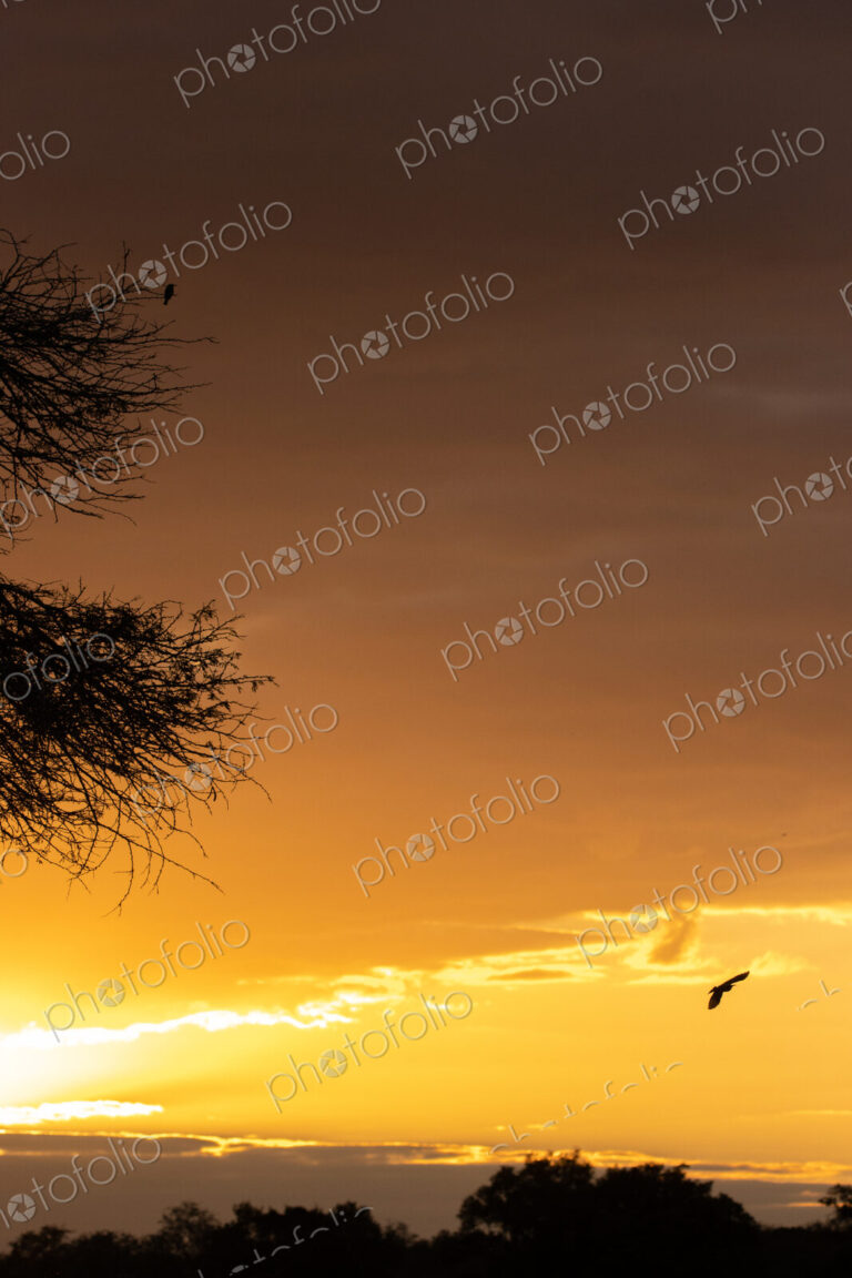 River sunset, landscape with golden sunset glow.