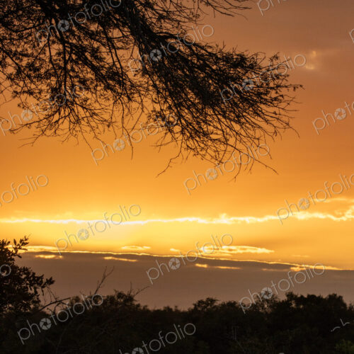 River sunset, landscape with golden sunset glow.