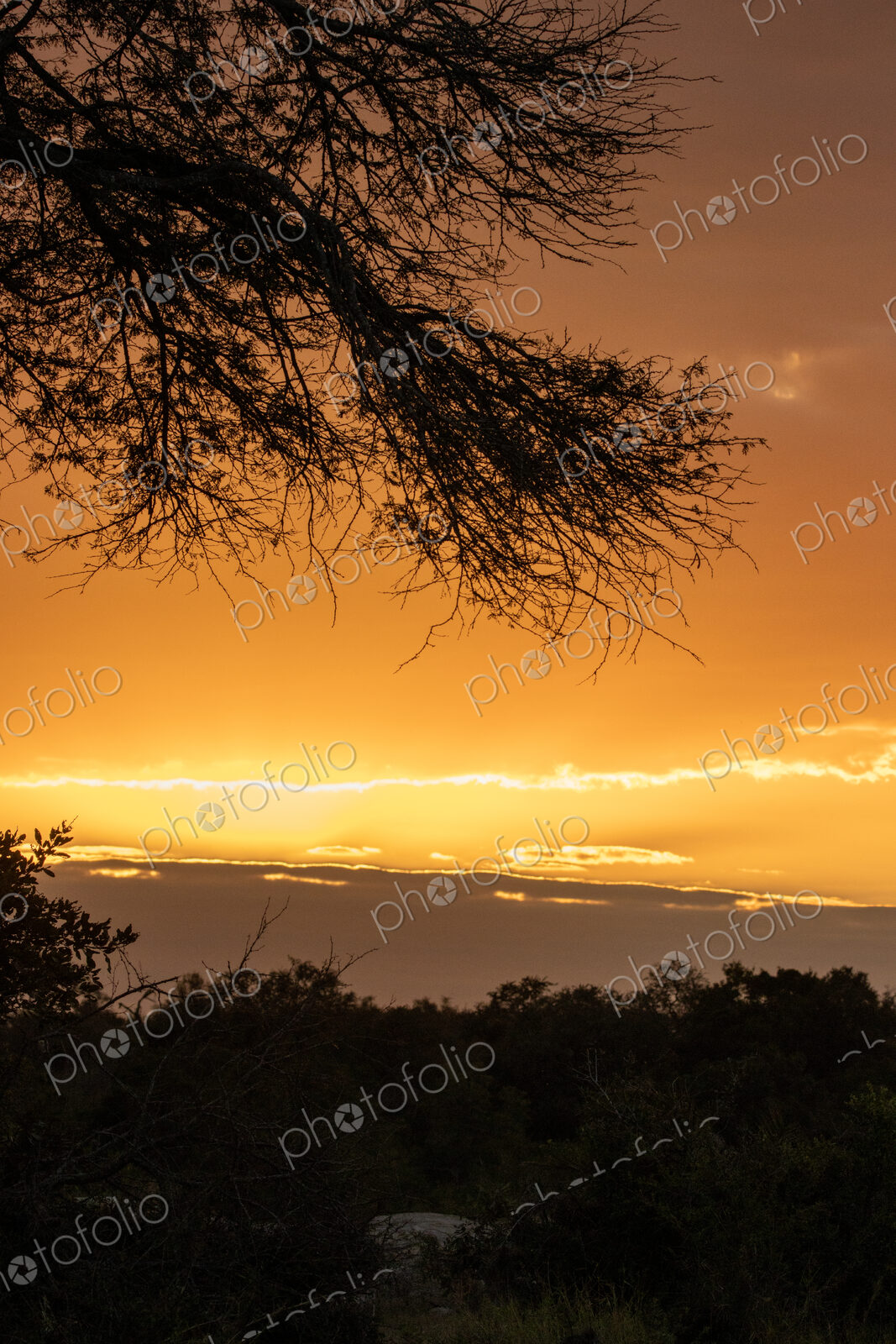 River sunset, landscape with golden sunset glow.