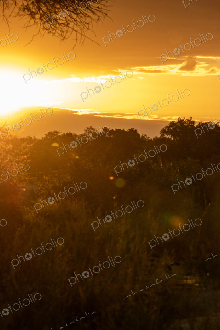 River sunset, landscape with golden sunset glow.