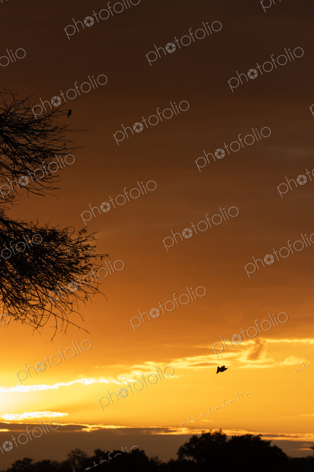 River sunset, landscape with golden sunset glow.