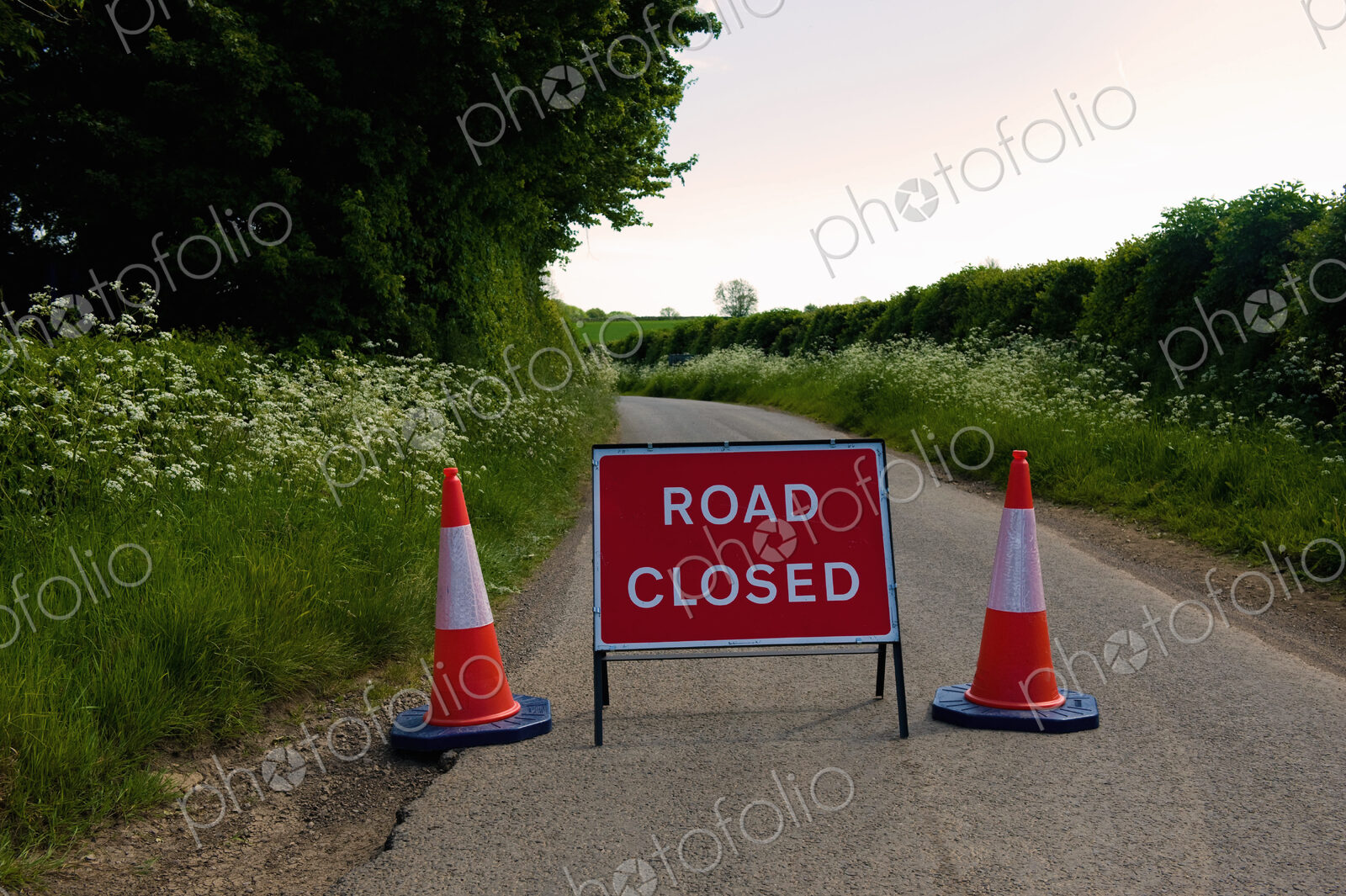 Road Closed sign with two traffic cones on a rural road in summer