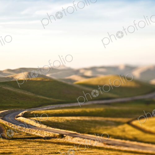 Road in Rolling Hills Road in Rolling Hills