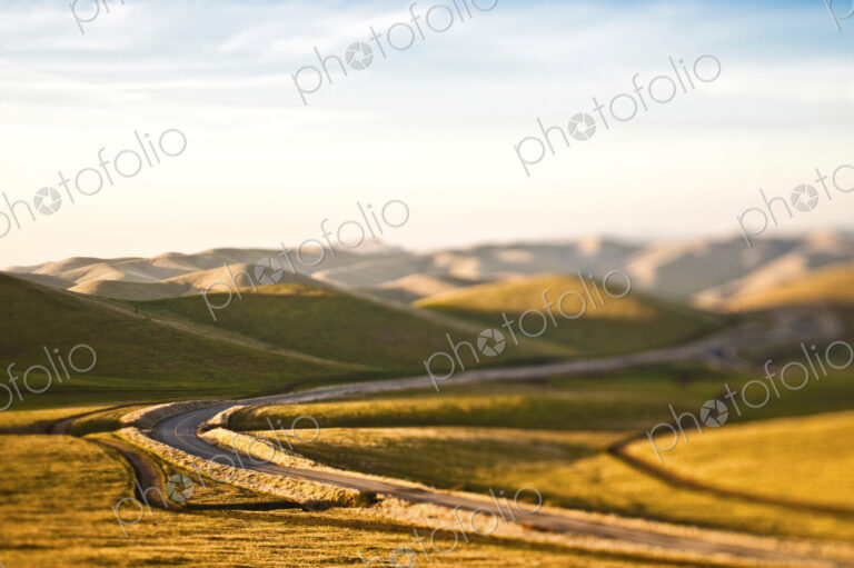 Road in Rolling Hills