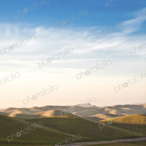 Road in Rolling Hills Road in Rolling Hills