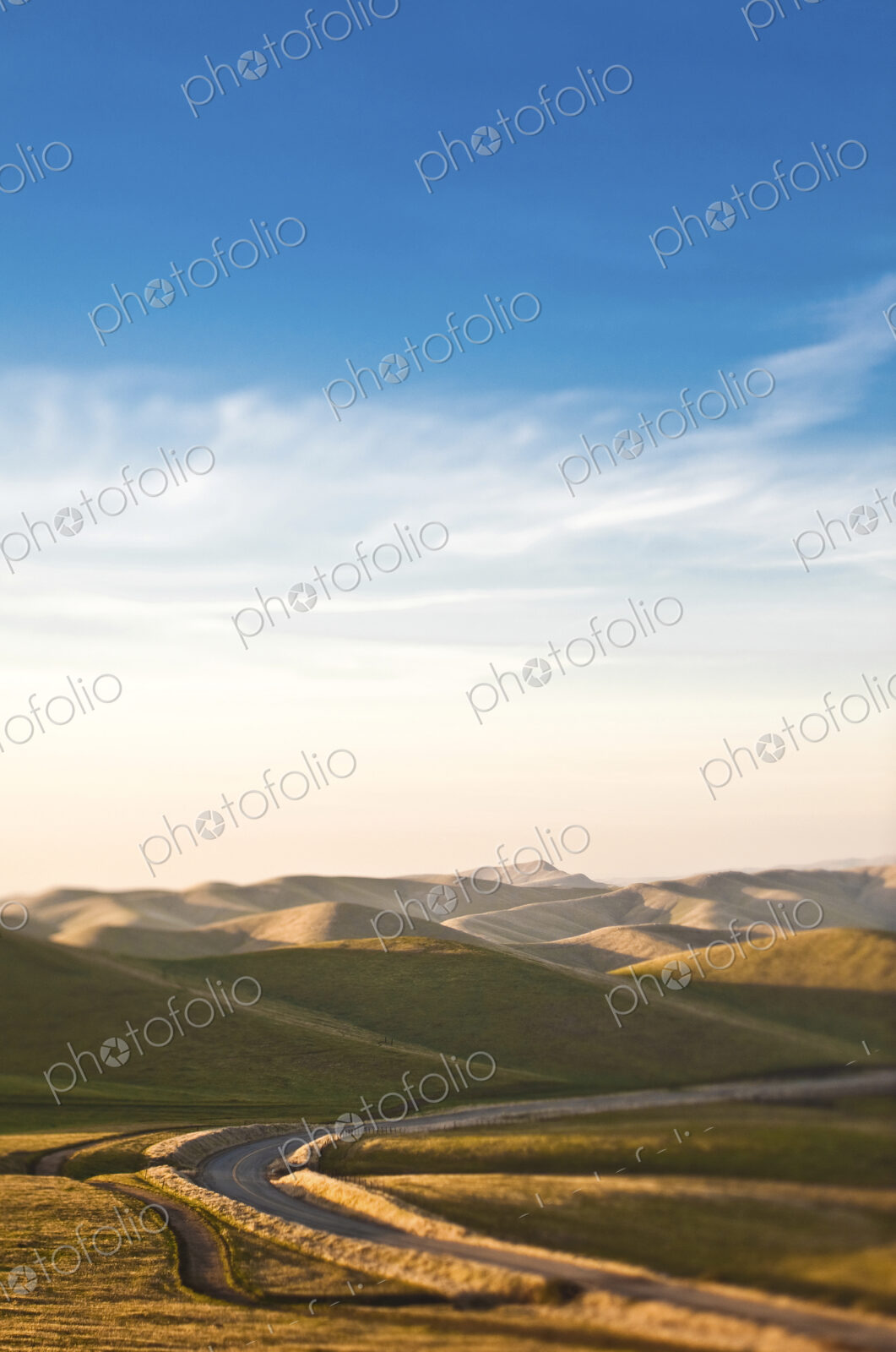 Road in Rolling Hills