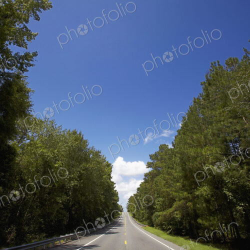 Road in the Countryside Road in the Countryside