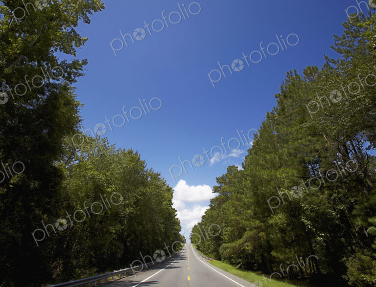 Road in the Countryside