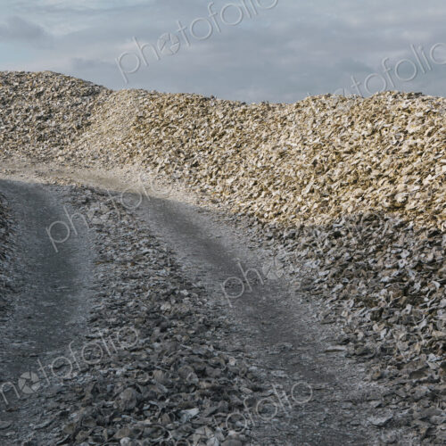 Road leading through piles of discarded oyster shells Oysterville USA Road leading through piles of discarded oyster shells Oysterville USA