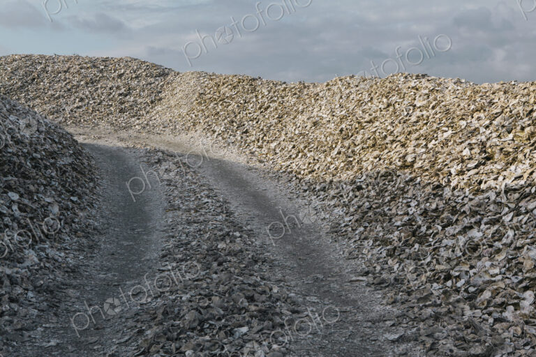 Road leading through piles of discarded oyster shells Oysterville USA