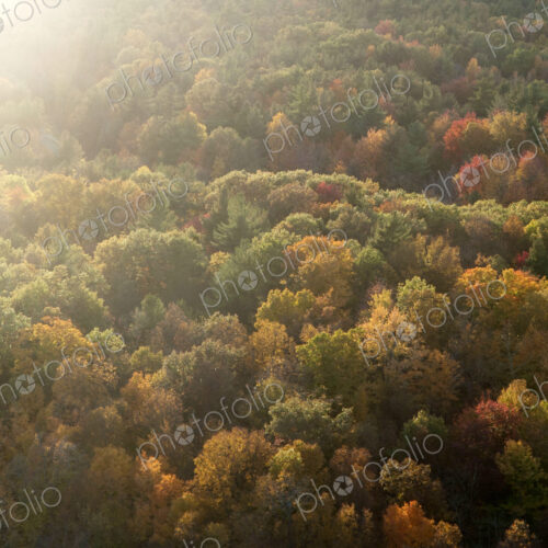 Road running through autumn forest seen from above. Road running through autumn forest seen from above.