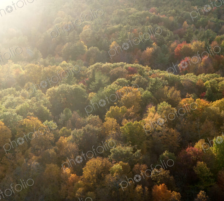 Road running through autumn forest seen from above.