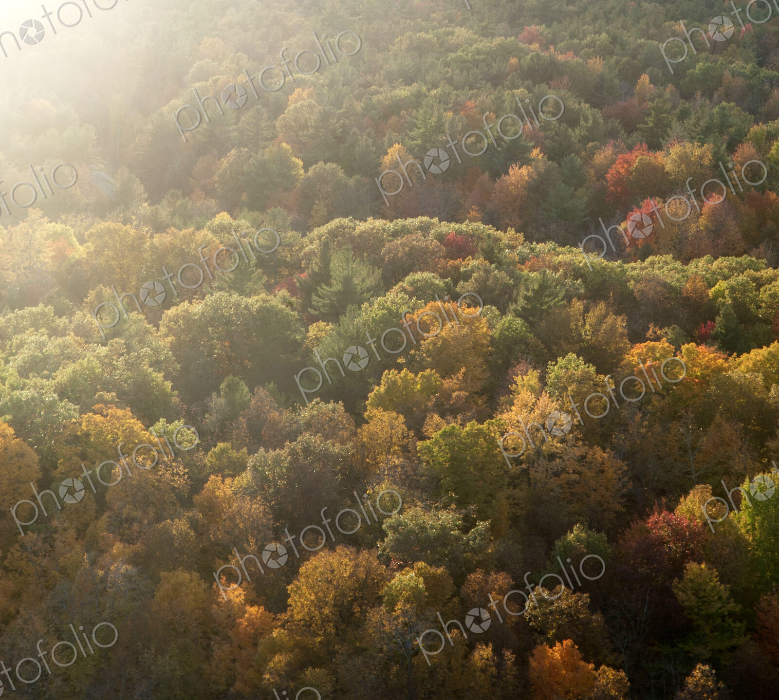 Road running through autumn forest seen from above.